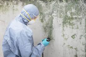  Healdton, OK Mold Removal Pros